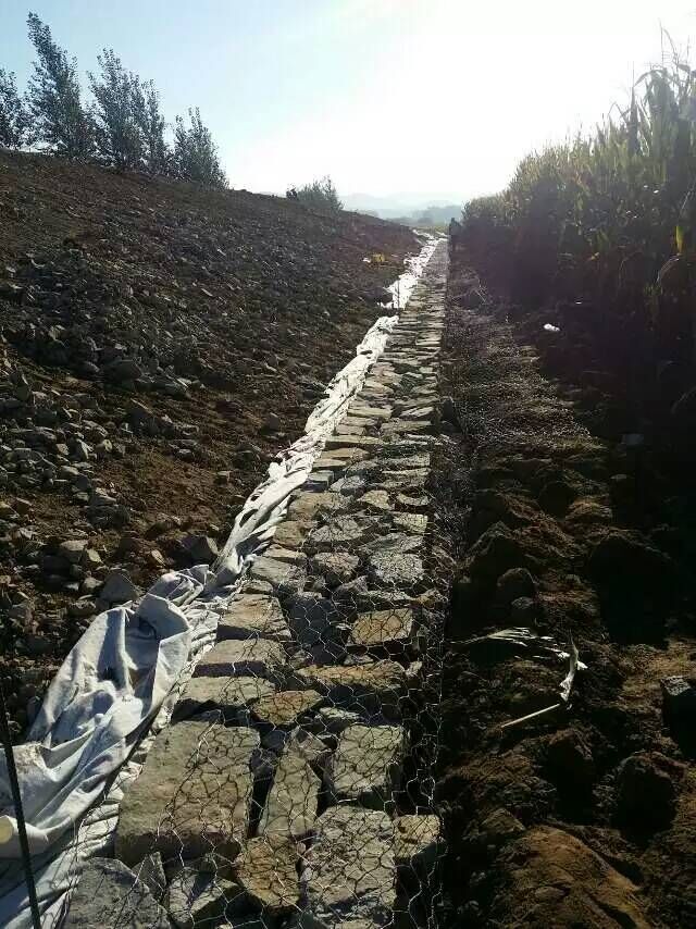 雷诺护垫