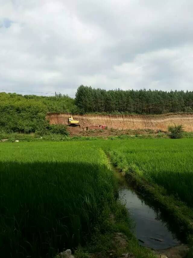 雷诺护垫