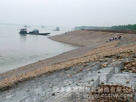 雷诺护垫哪家好